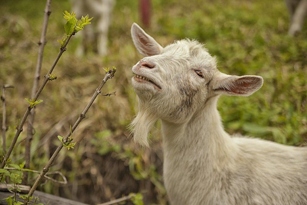 жизнь хороша