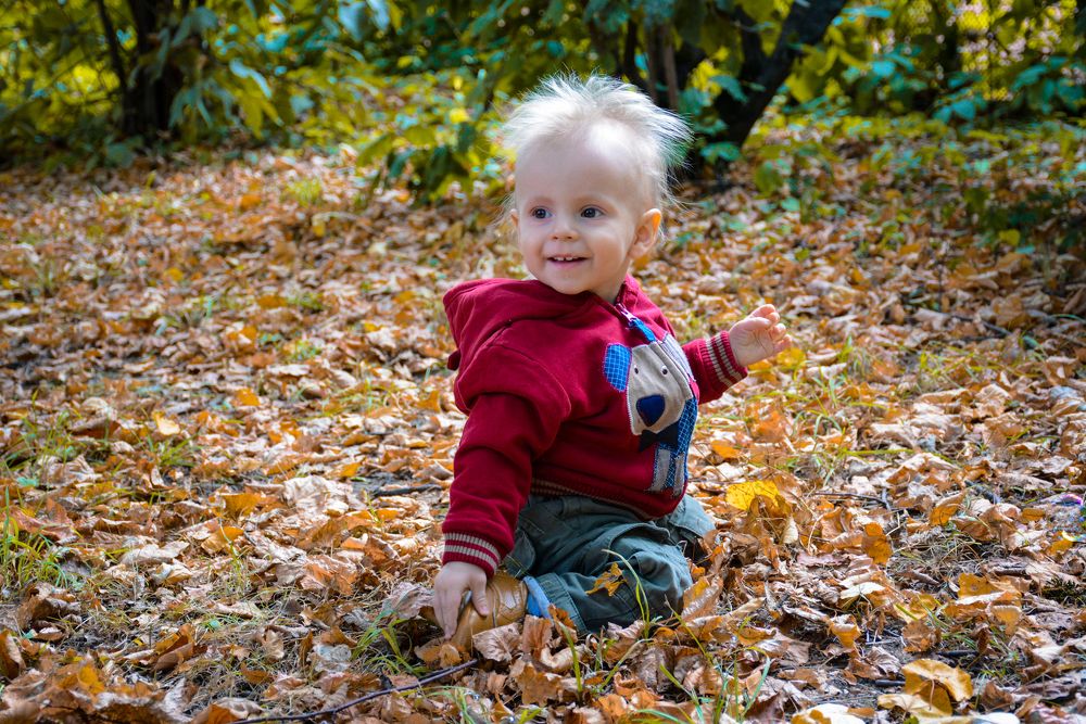 Моя первая осень