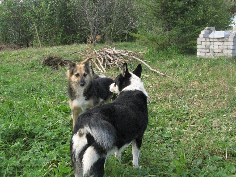 Серьезный разговор