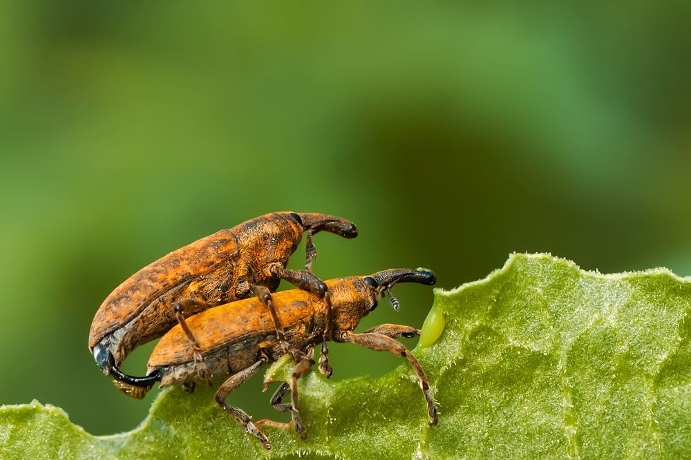 Немного про любовь