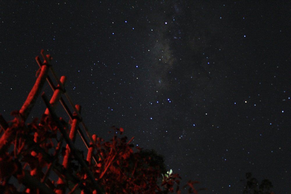 Milkiwey diatas pagar