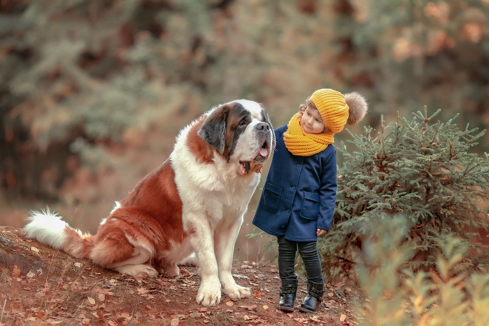 Photograph by Анна Филипанова