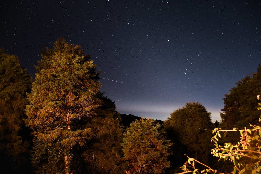 Night sky over a forest.