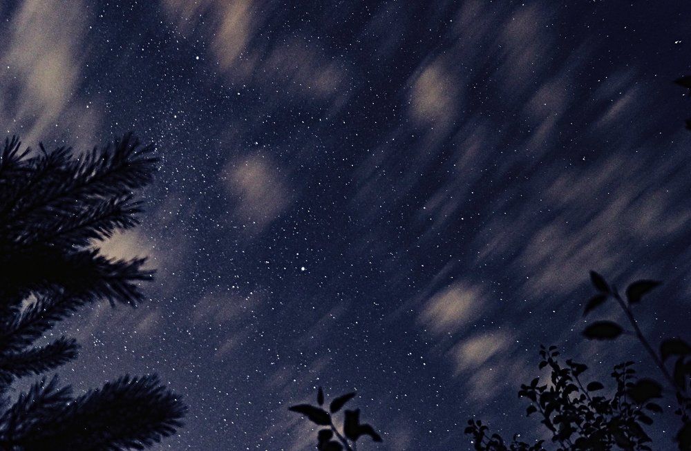 Ночные блака