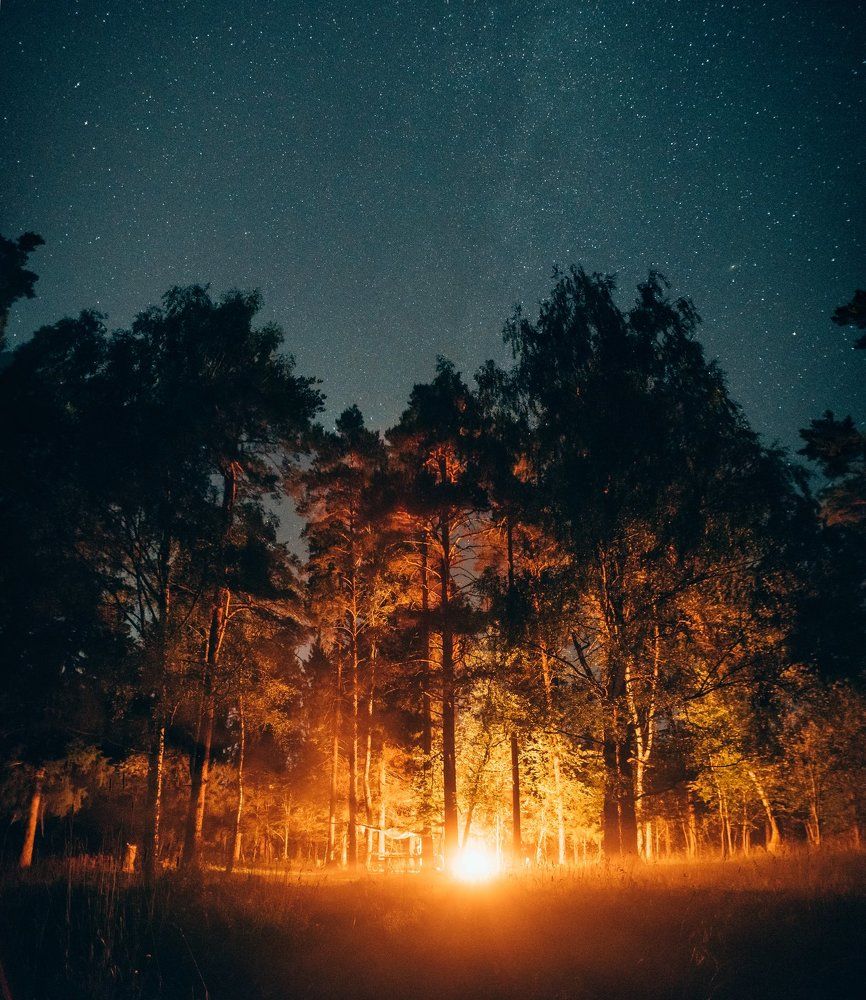 Фотография автора Антон Привалов