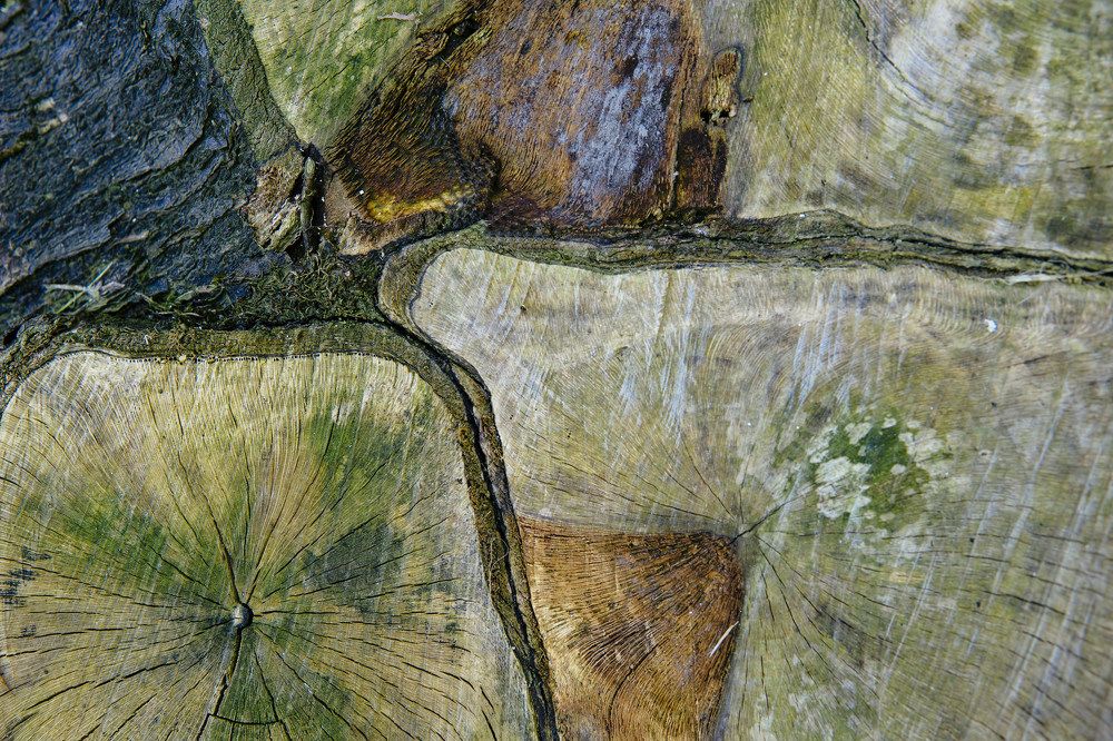 The geometry of the moment