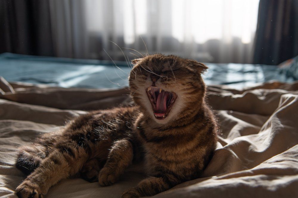 Photograph by Прокошева Екатерина