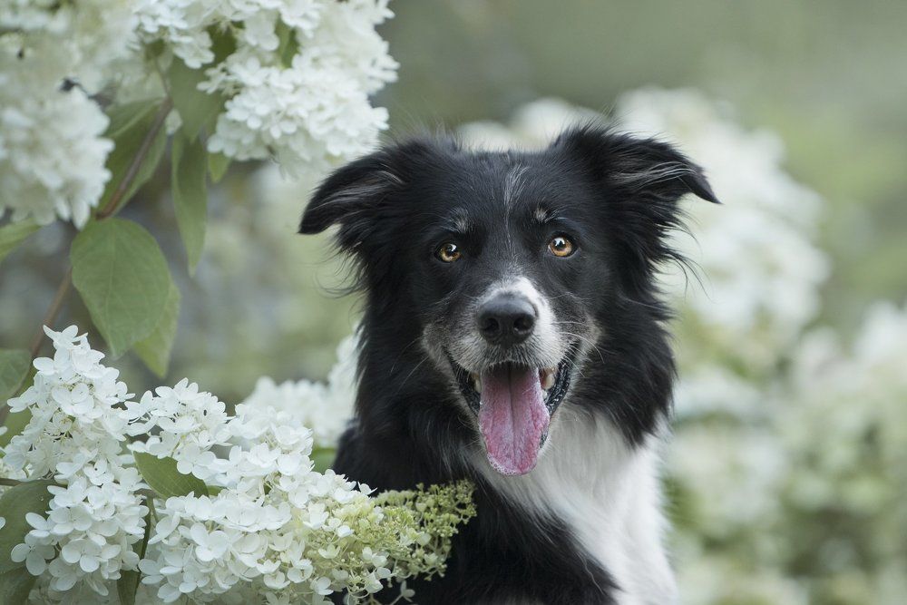 Photograph by Karina Saarestik