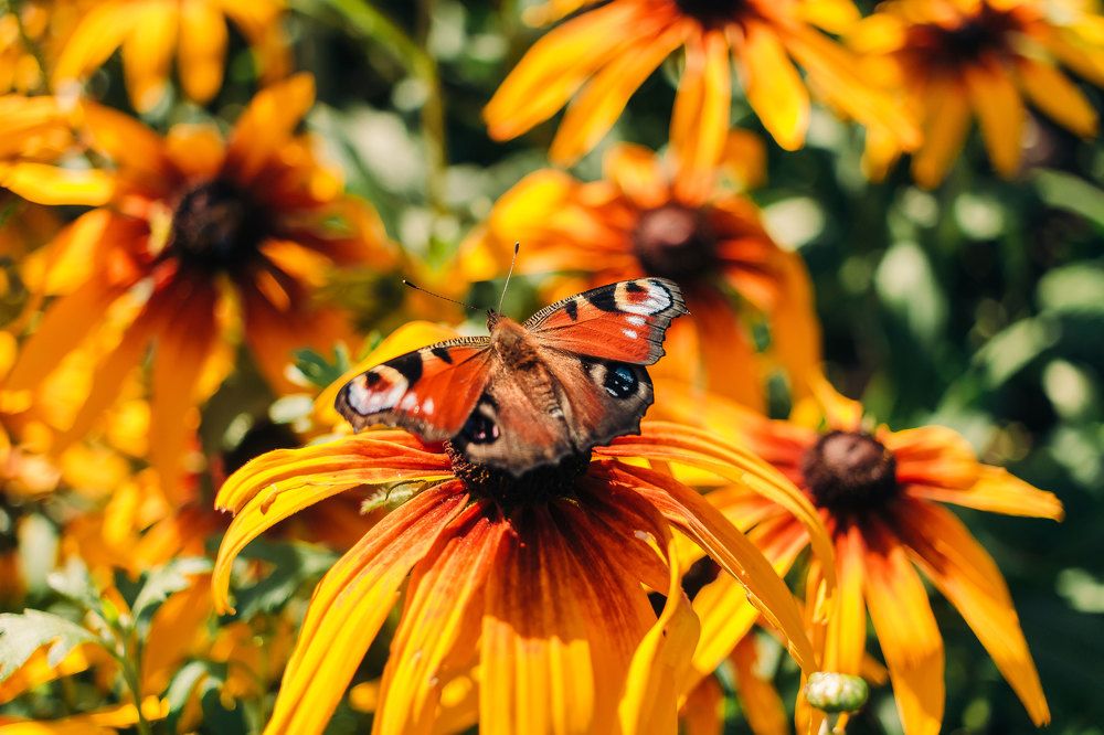 Осень близко.