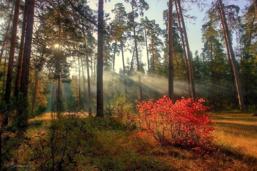 Начало дня.