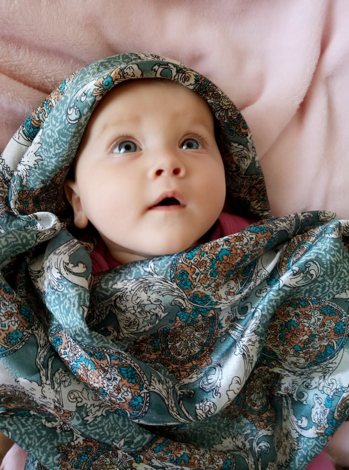 Photo #2577039