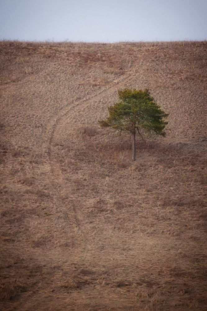 Одиночество