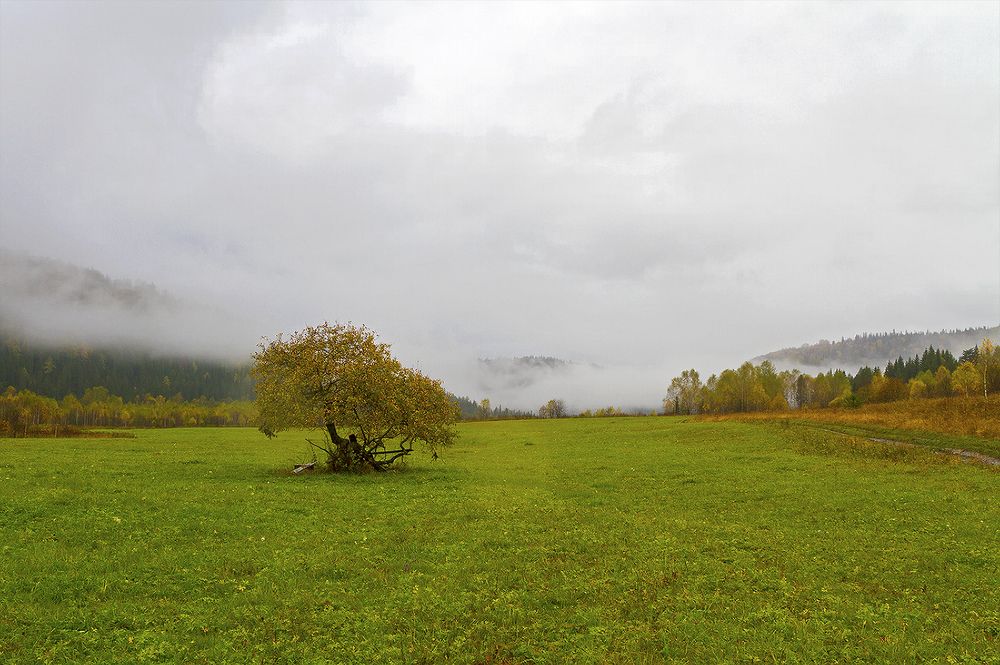 Среди туманов