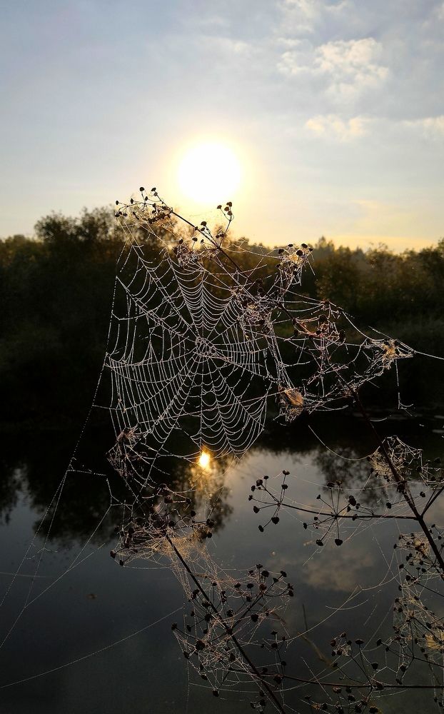 Утром на реке