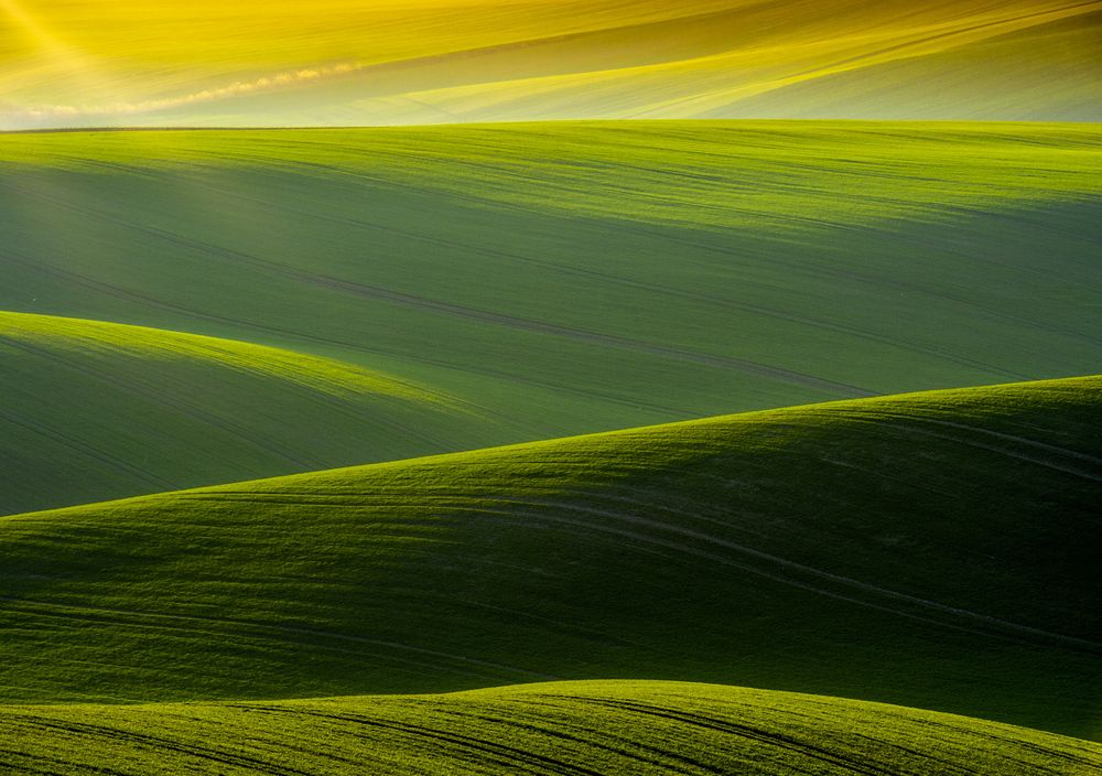 Волны полей.Моравия.