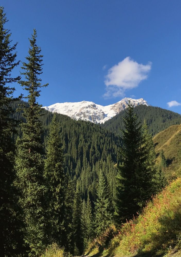 Photograph by Alexandra Kotlyar