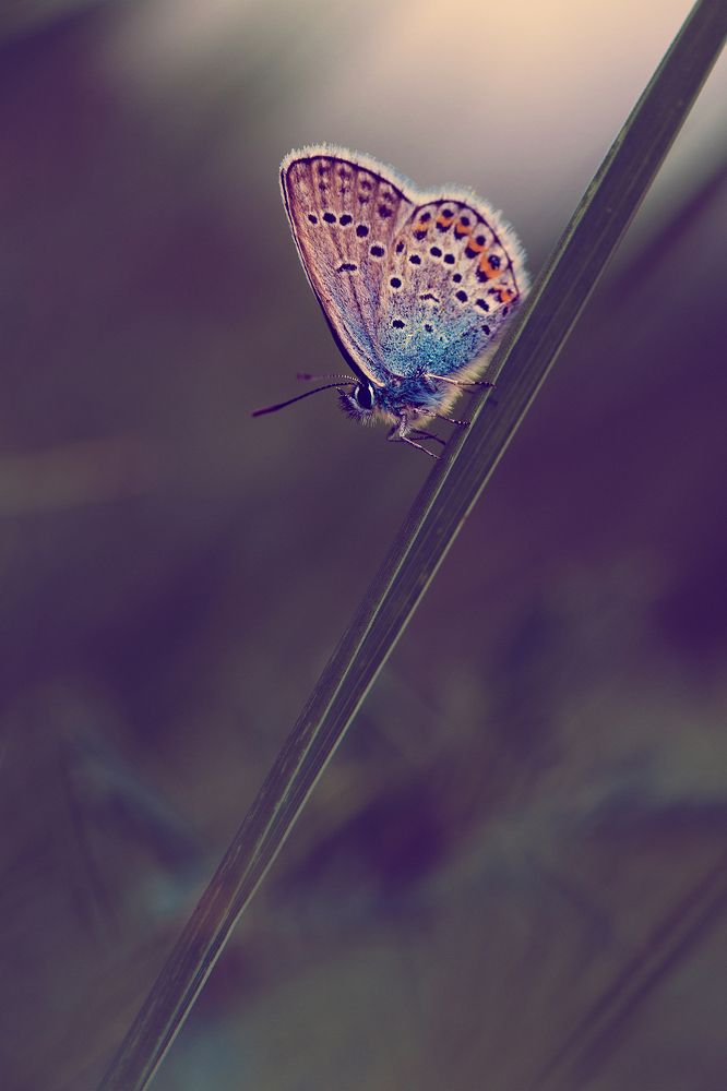 Photograph by Сергей Масленников