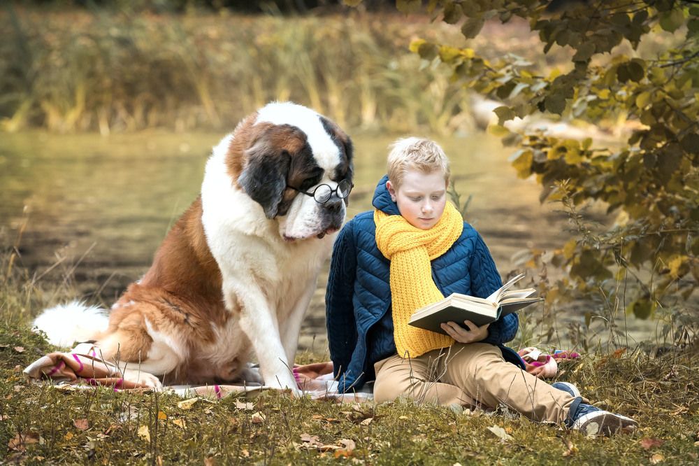 Послушай друг