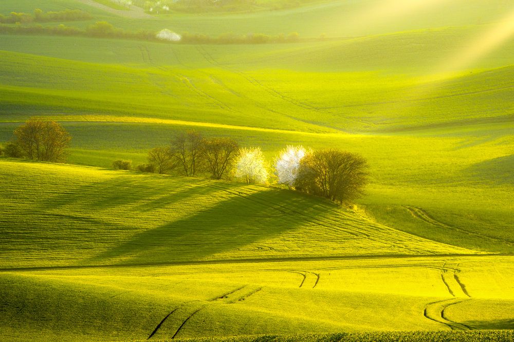 Весенняя Моравия.