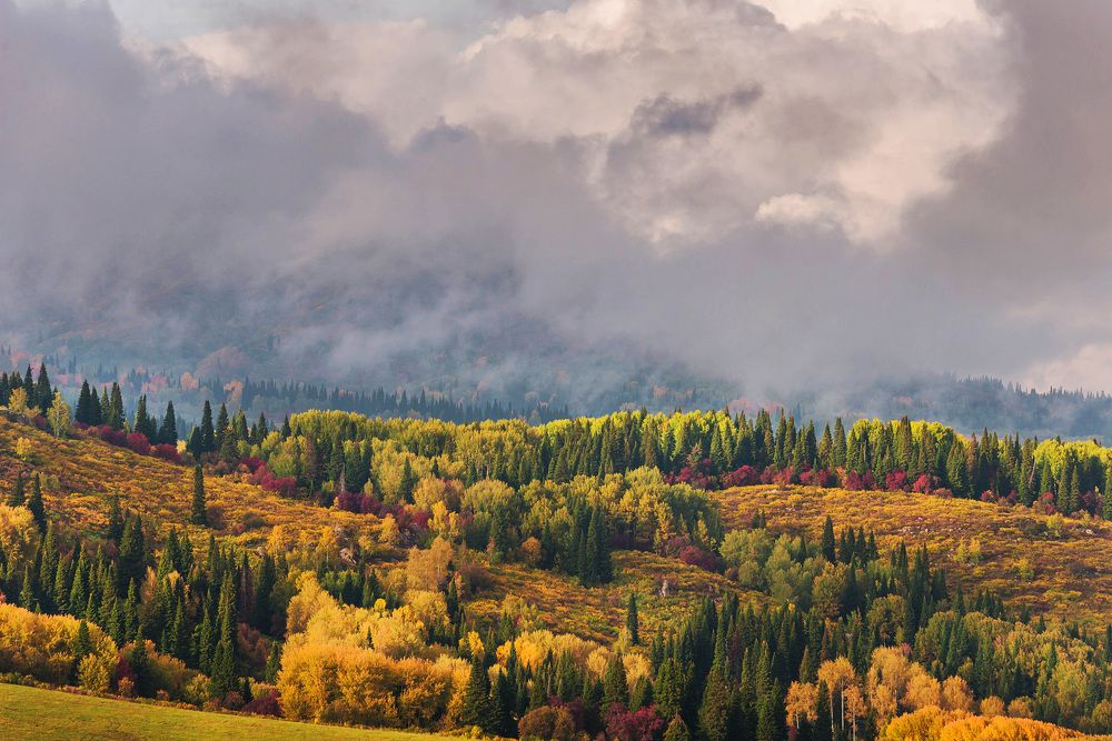 Краски осени