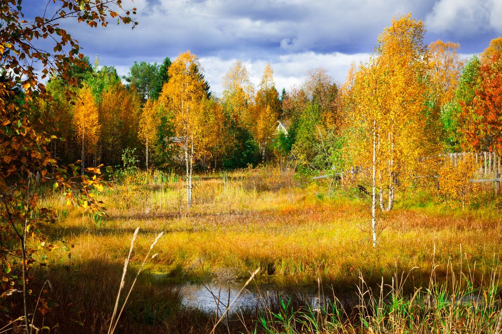 Сказочная пора