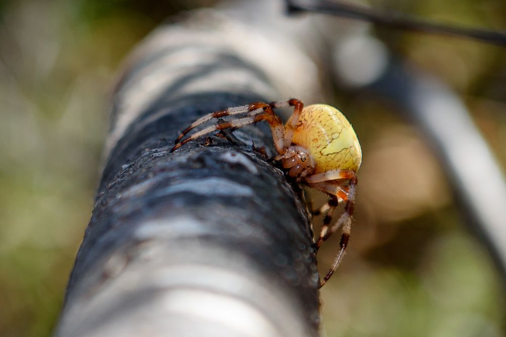 Photograph by Юрий Лавренюк