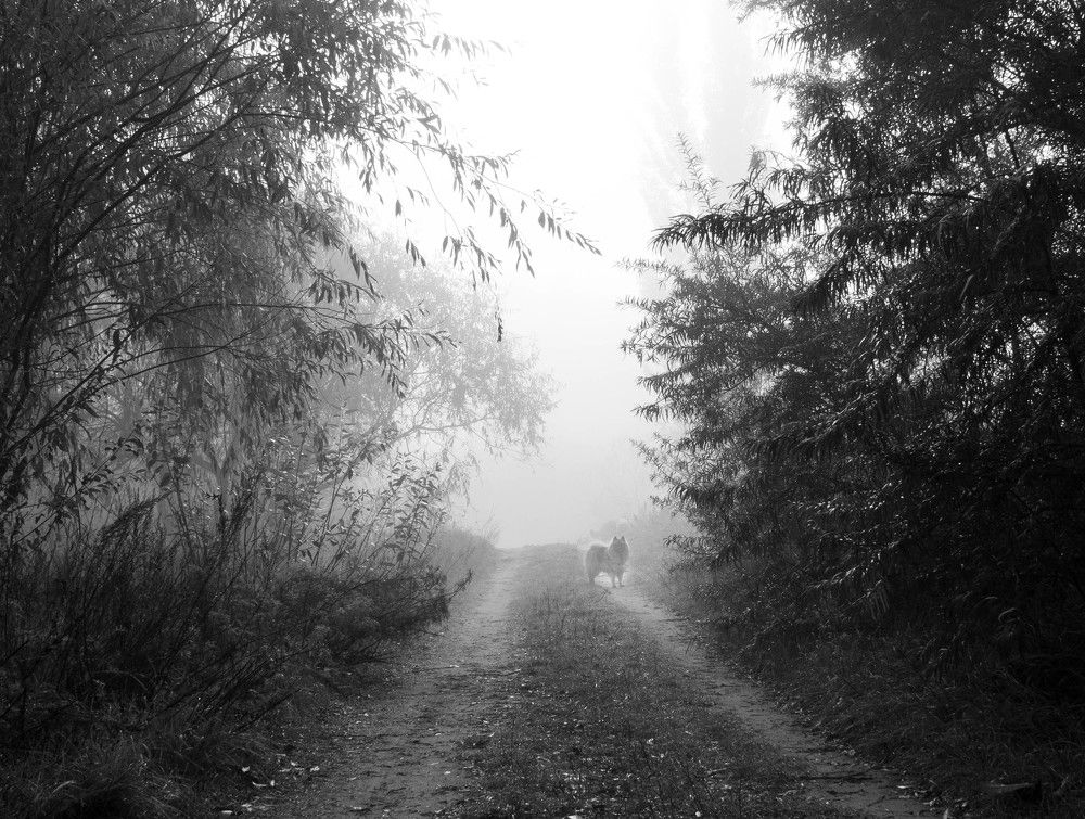 Photograph by Anna Novak