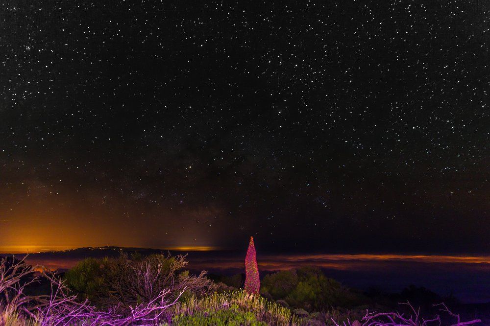 Starry night at El Teide National Park