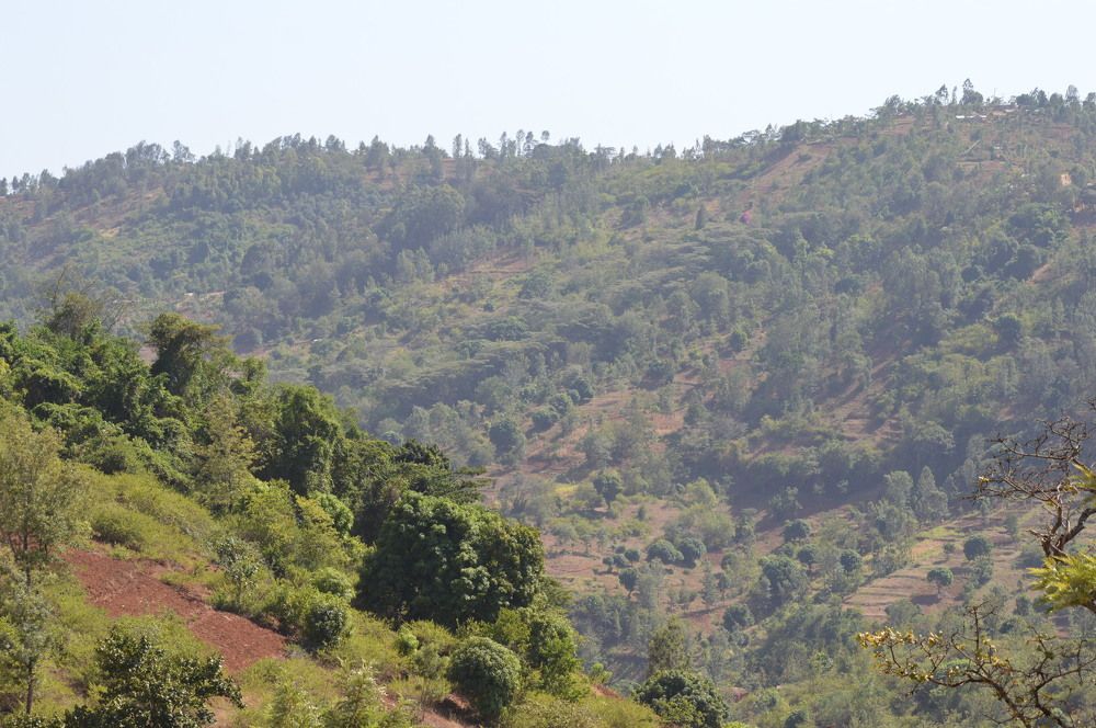 Valley