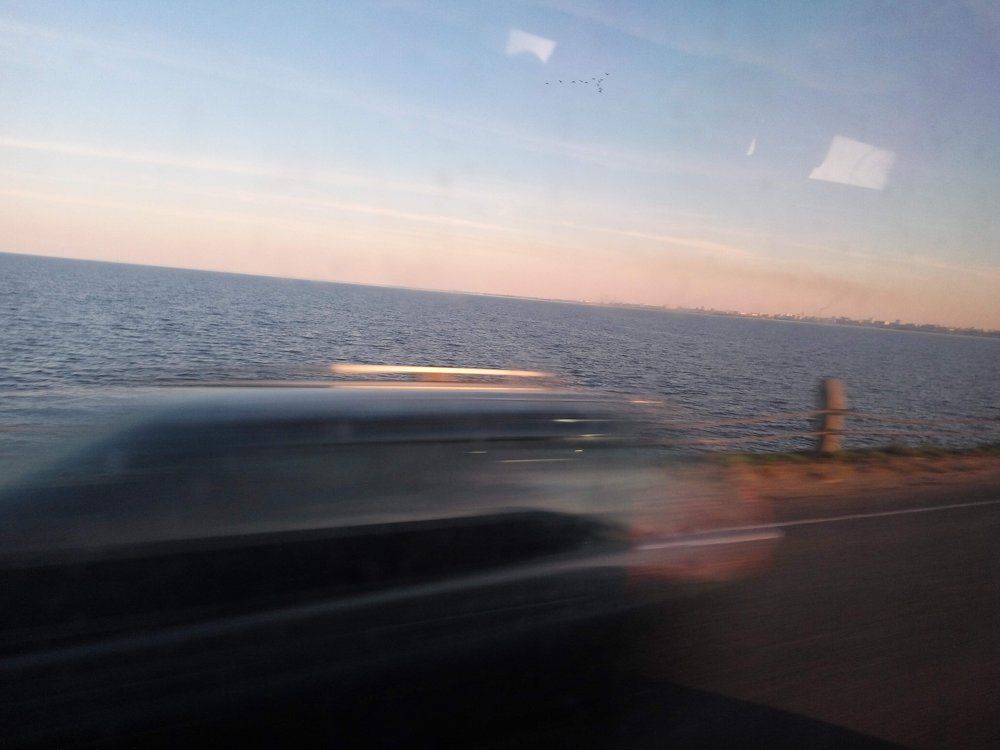 Motion
