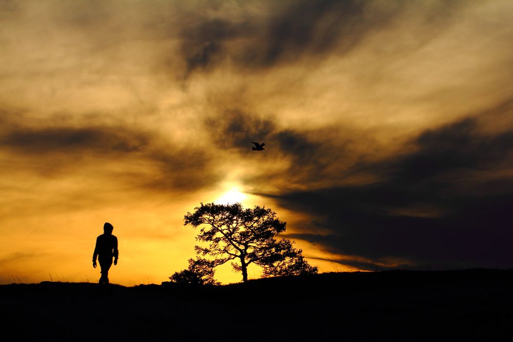 Сосуществование...