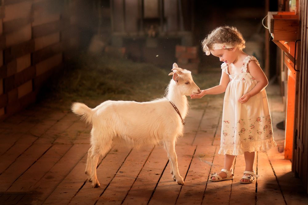 Знакомство