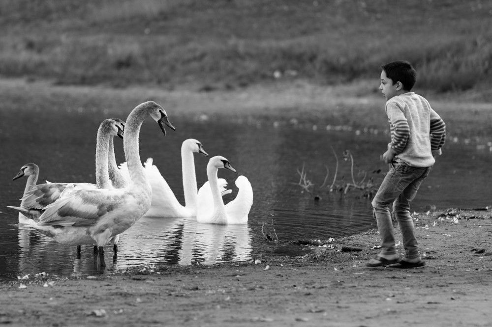 Photograph by Максим Митченко