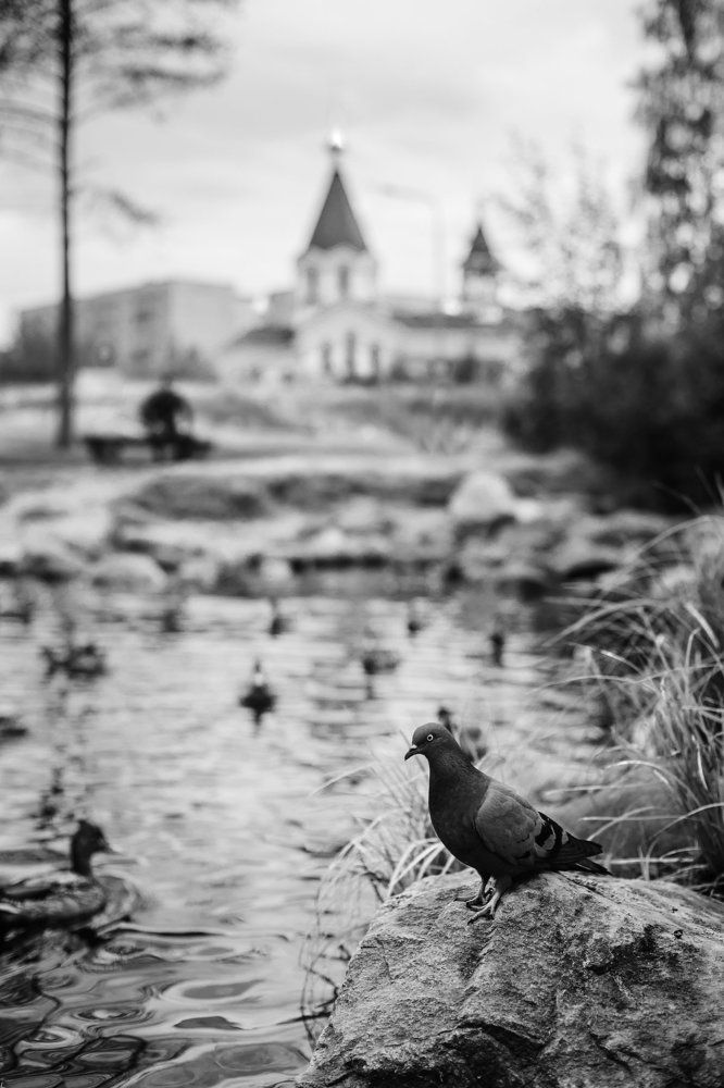 Одиночество