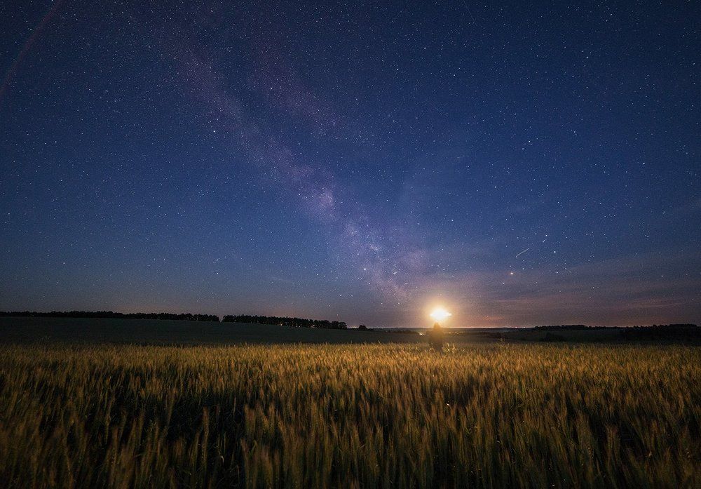 Прелесть летней ночи