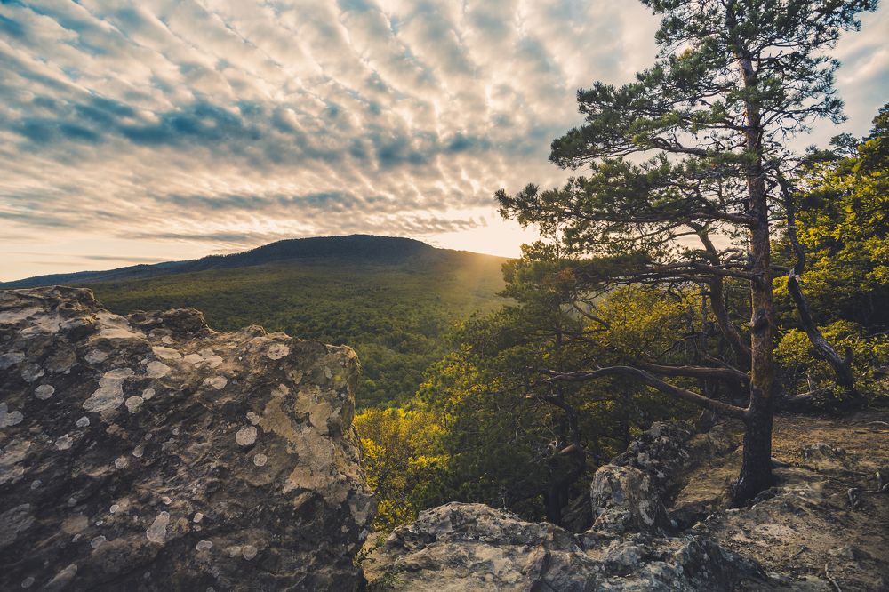 Закатные «Планы»