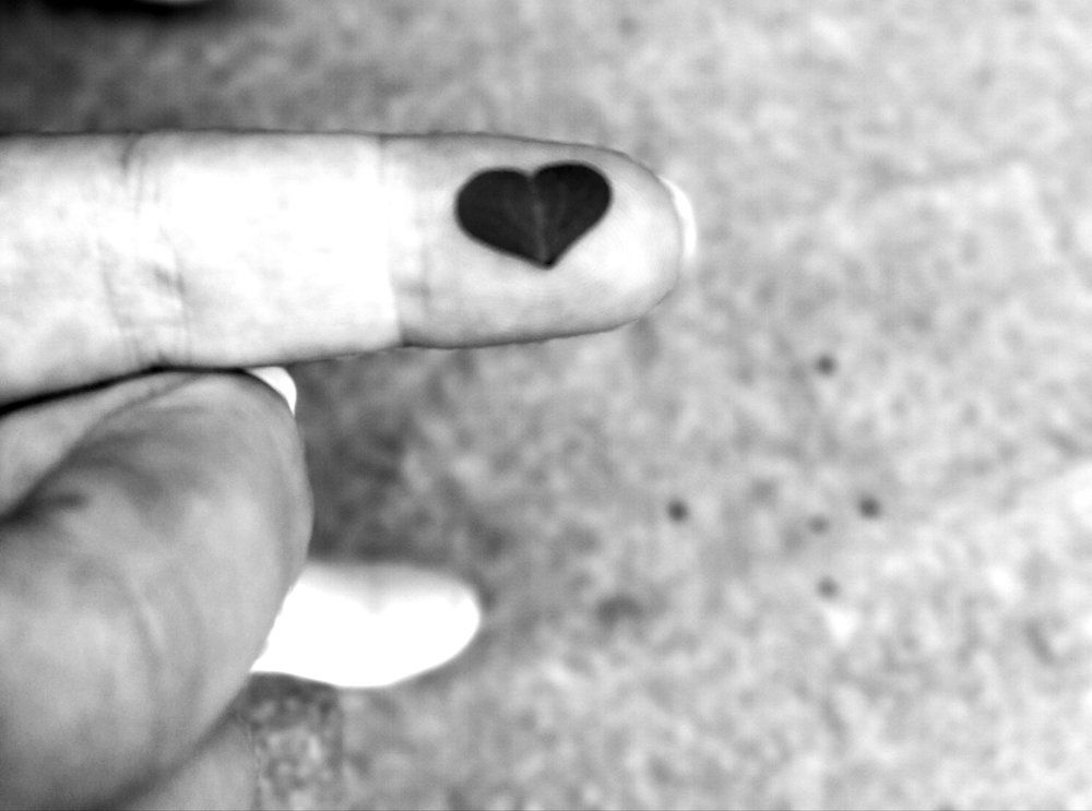 Photograph by Daria Virbanescu