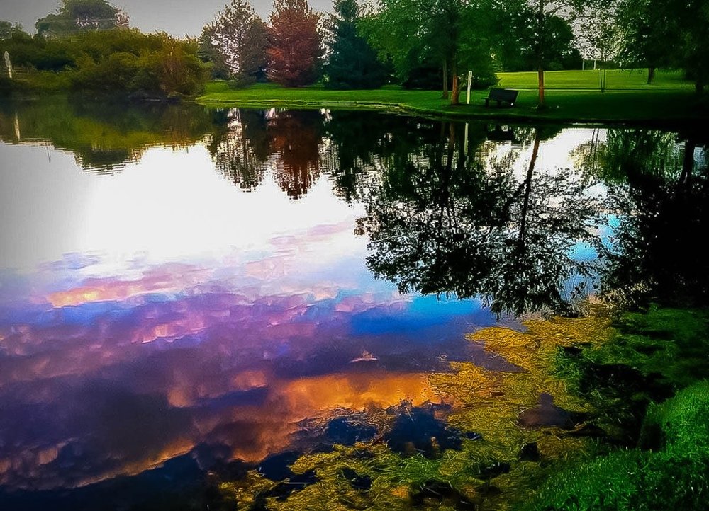 Reflection