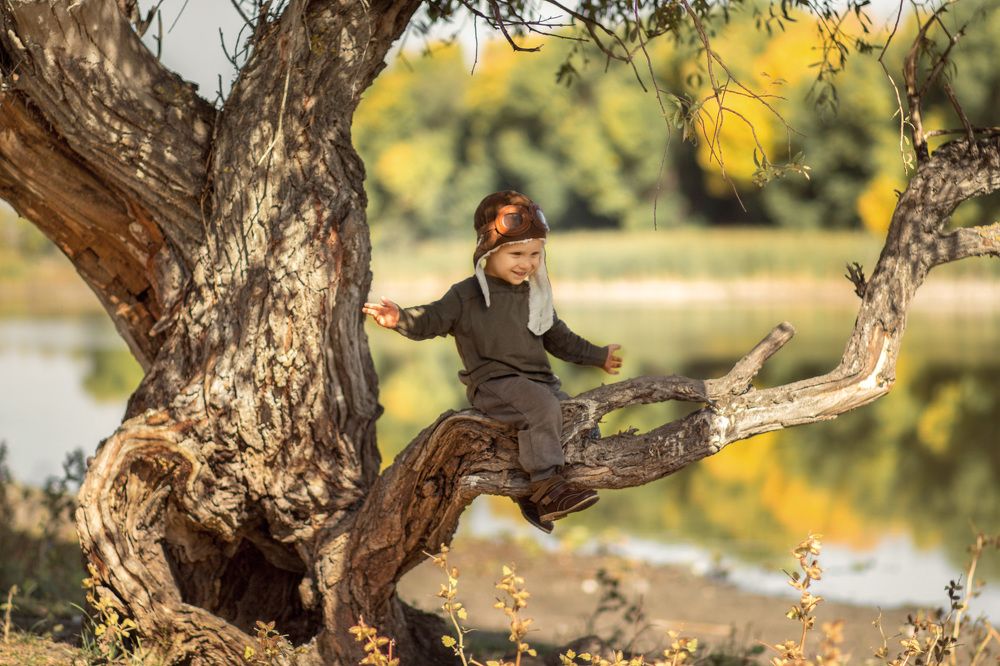 Маленький авиатор