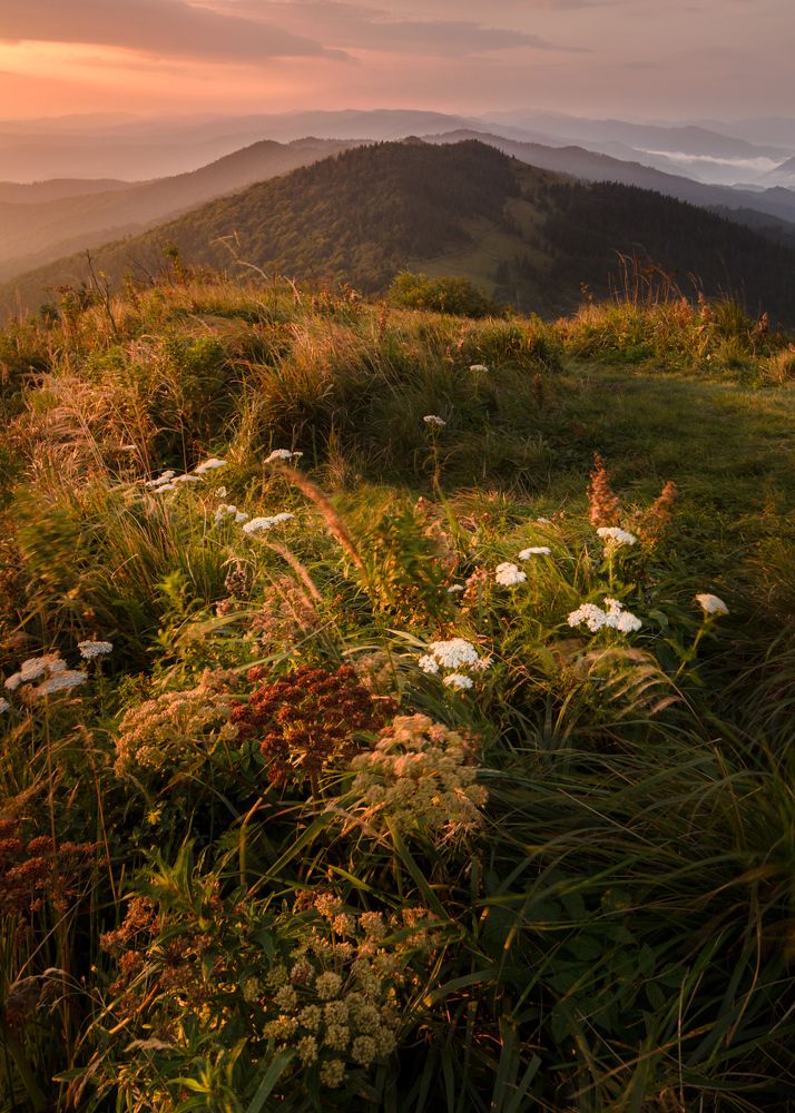 На ветреной вершине.