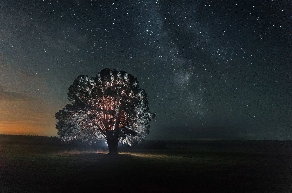 Жизнь под звездами
