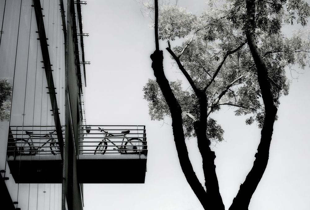 Велопарковка