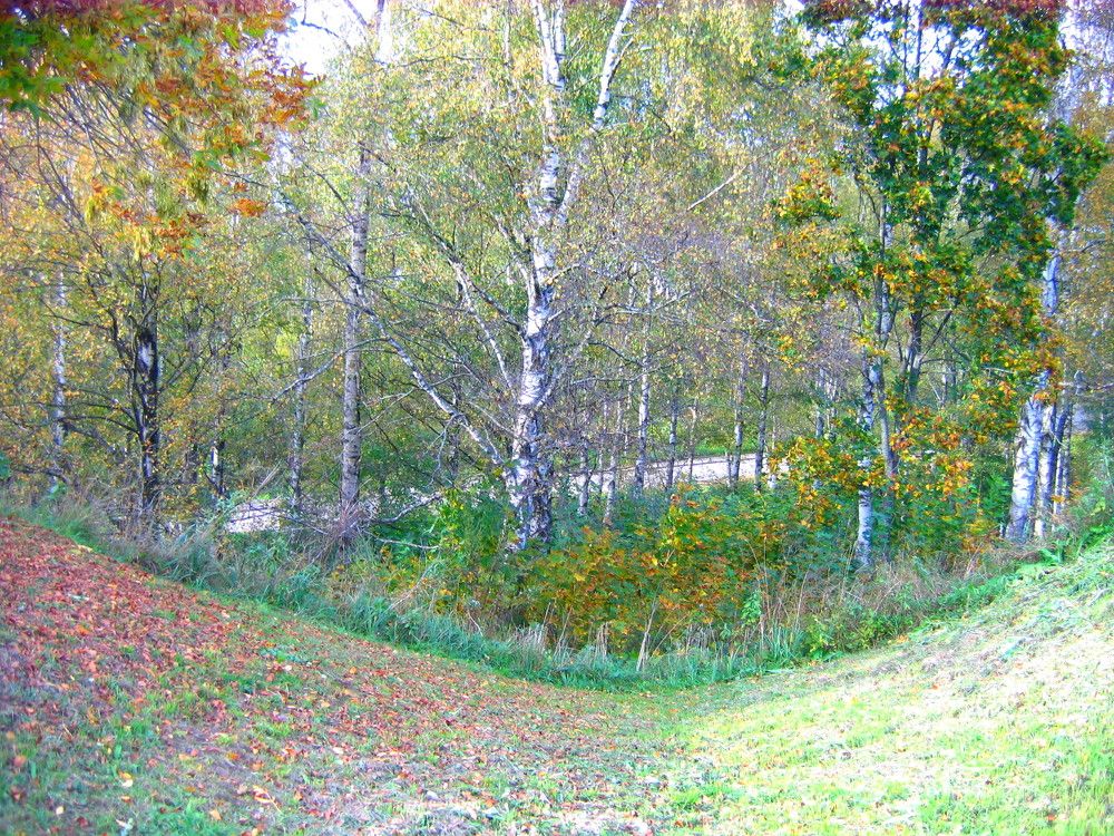 Земная полусфера!