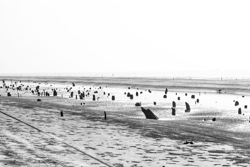 'Sidor' affected sea beach.