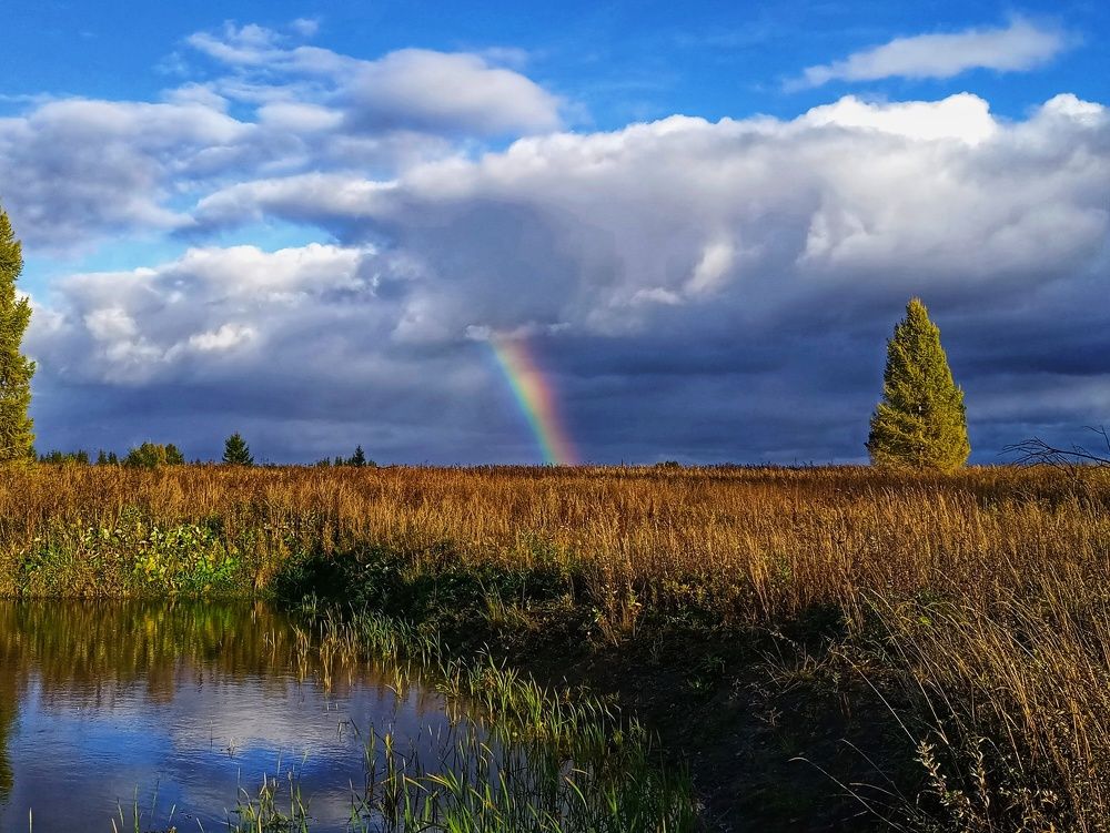 Хорошая погода