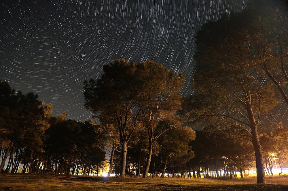 Небо над рощей в Кобулети