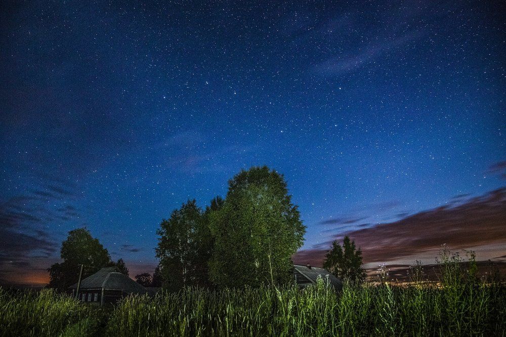 Большая медведица