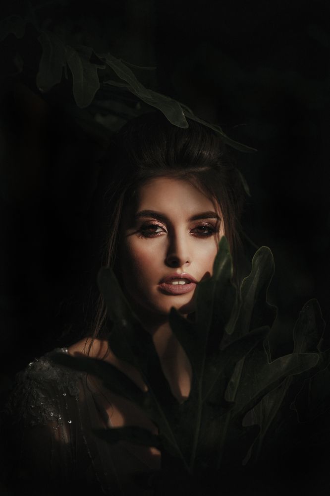 Райская птица