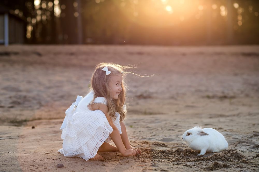 Девочка и кролик