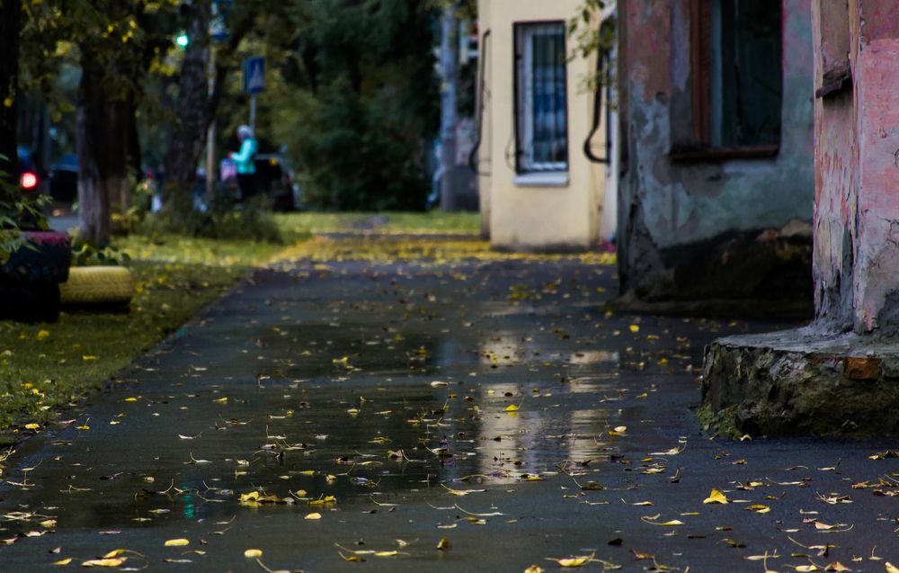 Осенний дождик